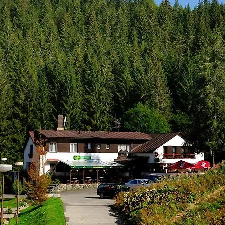 Zahradky